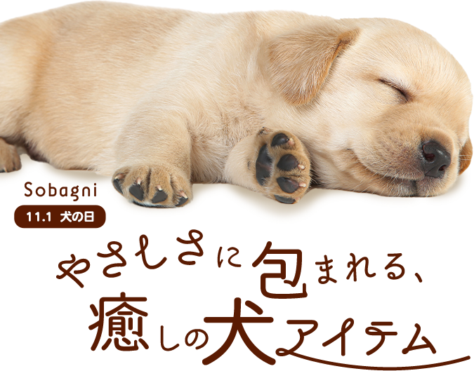 Sobagni 犬の日イベント やさしさに包まれる癒しの犬アイテム