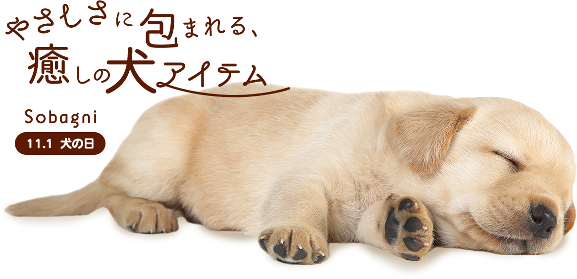 Sobagni 犬の日イベント やさしさに包まれる癒しの犬アイテム