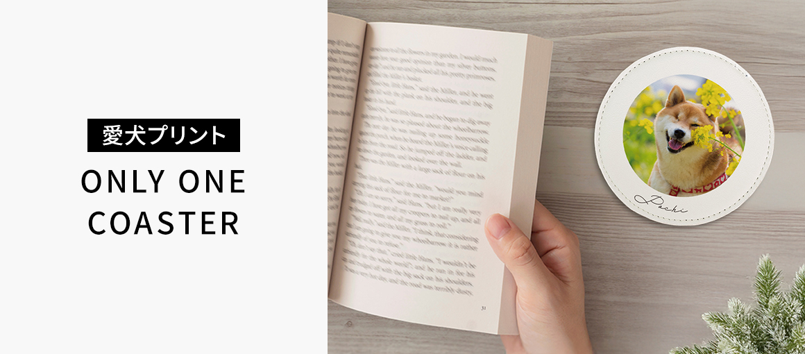 オンリーワンコースター