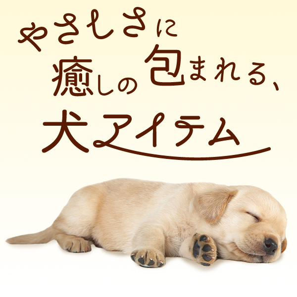 やさしさに包まれる、癒しの犬アイテム